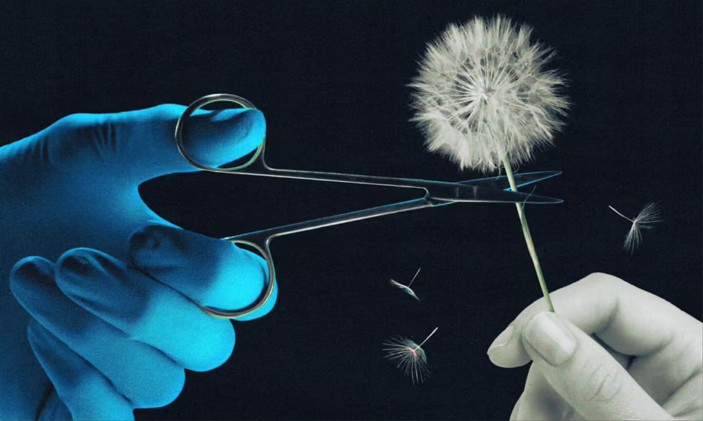 Sterilization Options